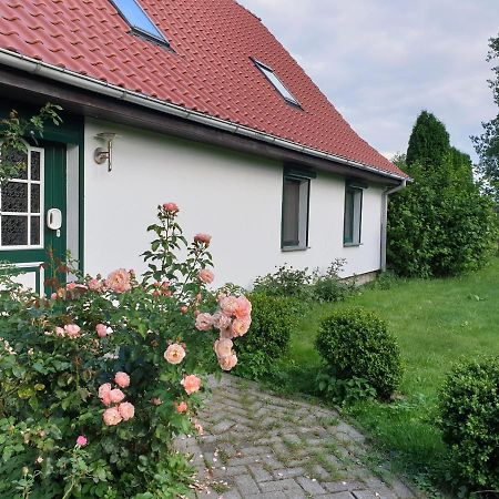 Öko-Ferienhaus Rappin Exterior foto