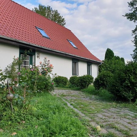 Öko-Ferienhaus Rappin Exterior foto