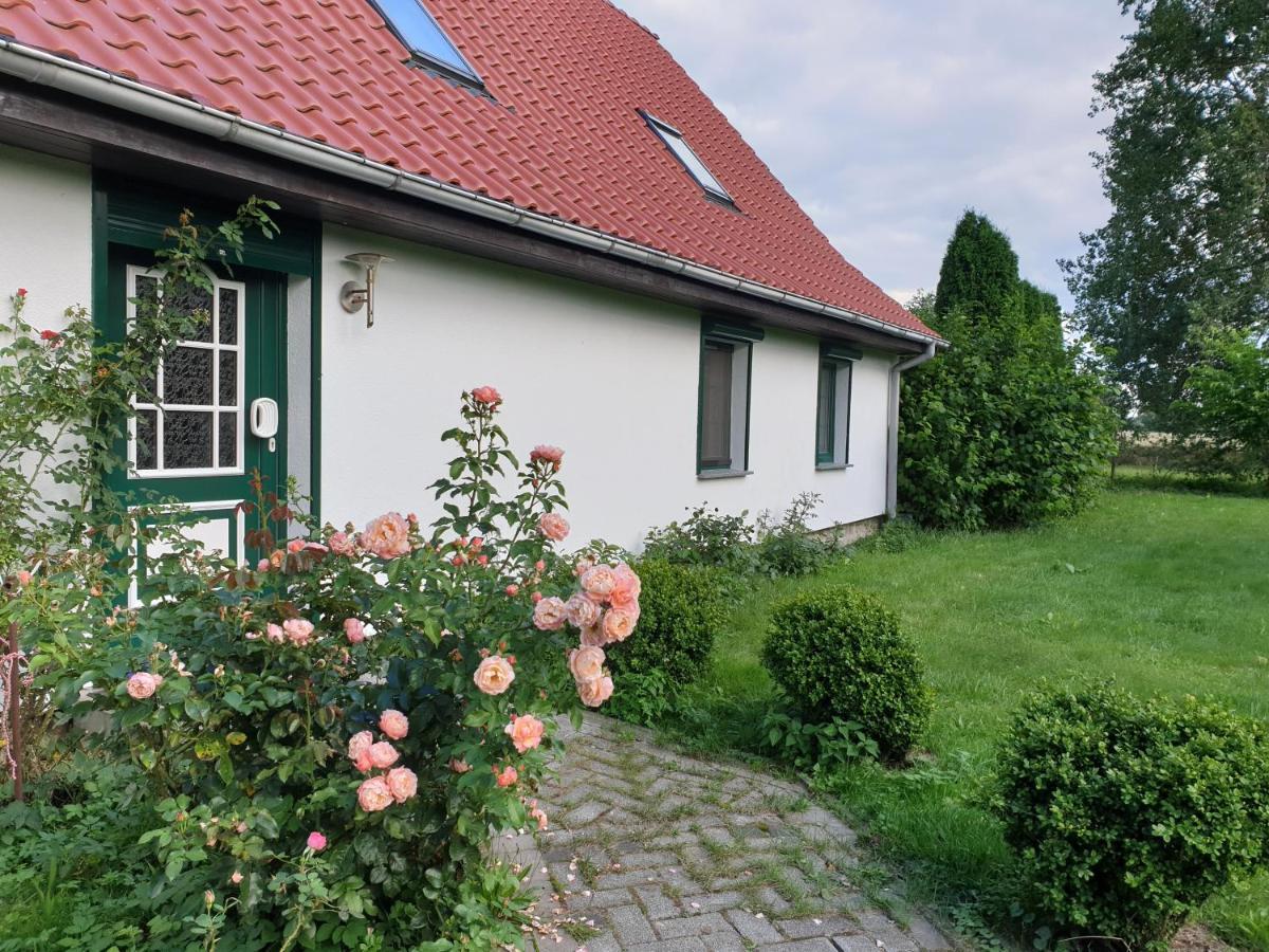 Öko-Ferienhaus Rappin Exterior foto